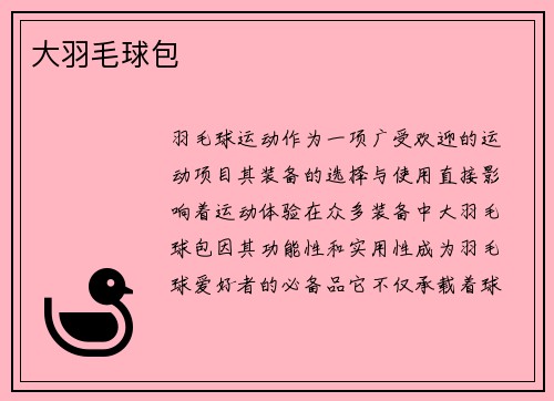 大羽毛球包