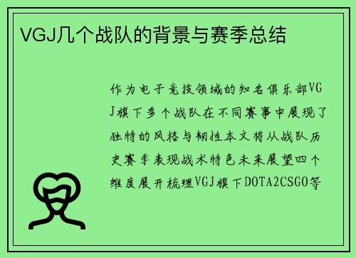 VGJ几个战队的背景与赛季总结