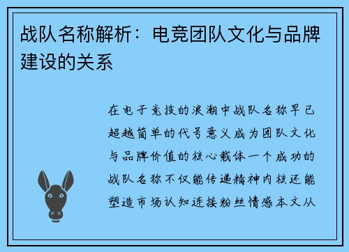 战队名称解析:电竞团队文化与品牌建设的关系
