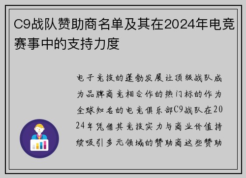 C9战队赞助商名单及其在2024年电竞赛事中的支持力度